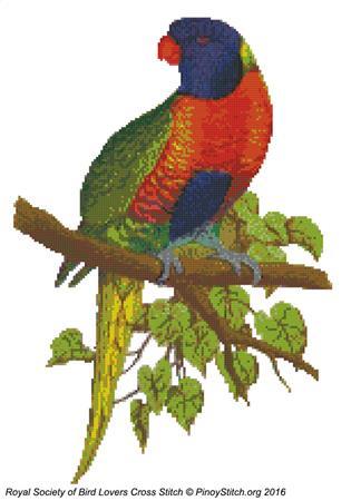 (image for) RSBL Lory Blue Mountain